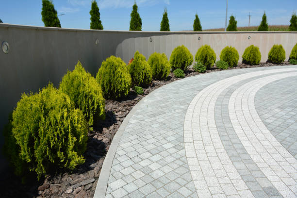 Best Decorative Driveway Pavers  in Balfour, NC